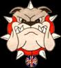 Bulldog Billiards UK
