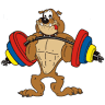 Bulldog Gym