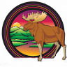 Bull Moose Lodge & Saloon