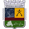 Bashkia Bulqizë