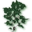 Kashiwagi Clinic