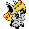 Burrito Boy
