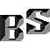 Buss Schneider Consultora S.R.L.