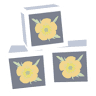 Buttercups Day Nursery
