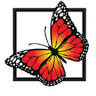 The Butterfly Club