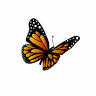Butterfly Christian Preschool