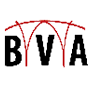 Bridges Virtual Academy