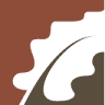 C3 Surfaces