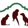 Companion Animal Hospital