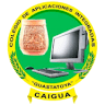 Colegio de Aplicaciones Integradas -CAIGUA-