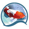 Cafe Cá Koi - Coffee Queen Koi