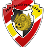 ASD Calcio Veneto FD
