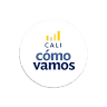 Programa Cali Cómo Vamos Sede Centro