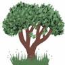 Tree of Life Nursery