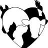 Cambria Veterinary Care