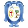 Sisters Ministers of the Sick of St. Camillus
