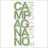 Dynema Store Ronciglione
