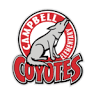Campbell Elementary School