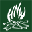 Boy Scouts Camp Ho Non Wah
