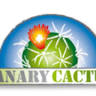 Canary Cactus SA