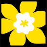 Société canadienne du cancer