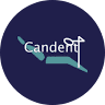 Candent Instrument Services