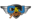 C & J Auto