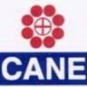CANE UK