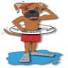 Hot Diggity Dog Canine Water Fitness