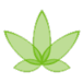 Cannabis NB