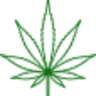 Cannabis Corner Fort St John
