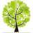 Cape Financial Management