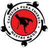 Capoeira Pura Energia