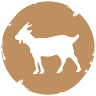 Capra Bianca