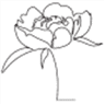 Bloemen Atelier Capri