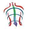 Capri Spine Clinic Greater Kailash