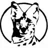 Attleboro Park Department