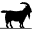 Capua Cashmere Store