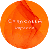 Caracalla Konyha Stúdió