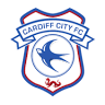Cardiff City Superstore