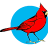Cardinal Creek Plant Farm Inc