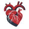 Cardiogoniometrie Dieter Cullmann