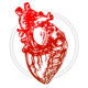 DR. JESÚS EDUARDO REYES CARRERA CARDIÓLOGO INTERVENCIONISTA
