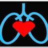 Cardio Pulmonary Diagnostic - #401