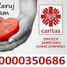 Caritas Diecezji Zamojsko-Lubaczowskiej