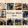Carriage Shack Farm LLC