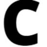 Carson Protective Services Inc