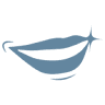 Cartagena English Speaking Dentist