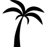 Casa Mosa
