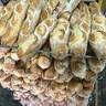 Casa Nostra Bakery